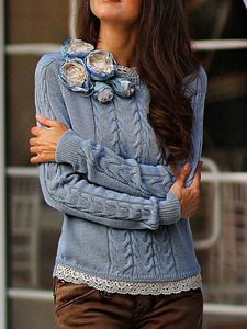 Crew Neck Casual Lace Regular Fit Sweater PH58