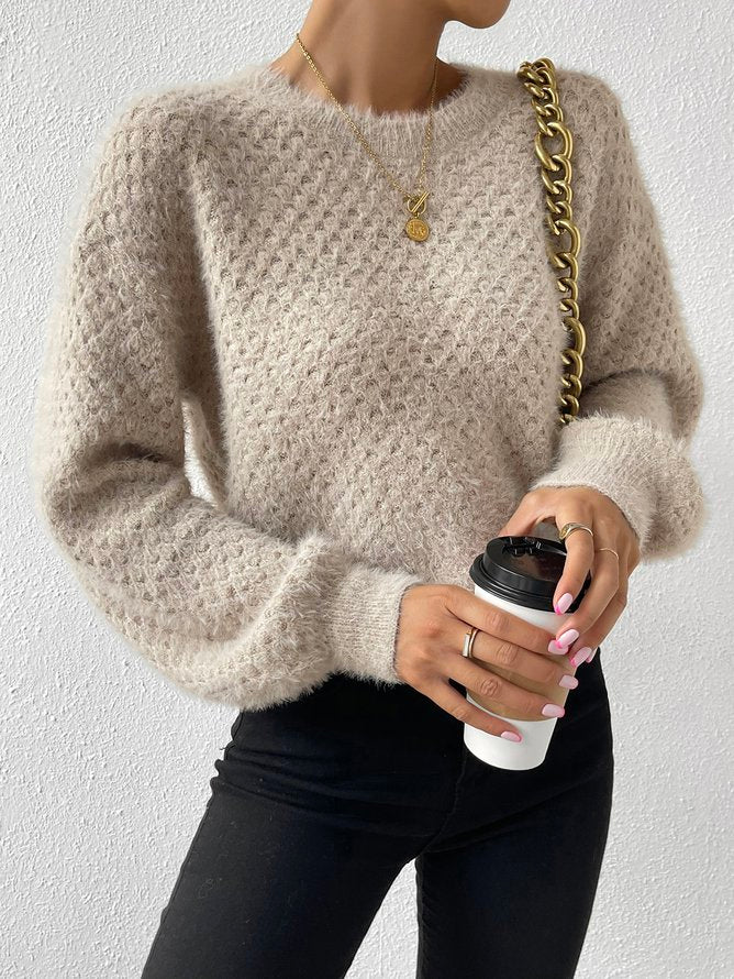 Plain Casual Wool/Knitting Regular Fit Sweater ZY207