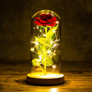 Rose LED Light In Glass