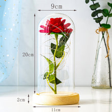 Load image into Gallery viewer, Rose LED Light In Glass

