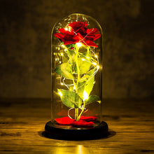 Load image into Gallery viewer, Rose LED Light In Glass
