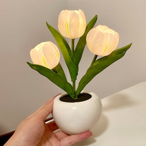 Tulip Table Lamp W347
